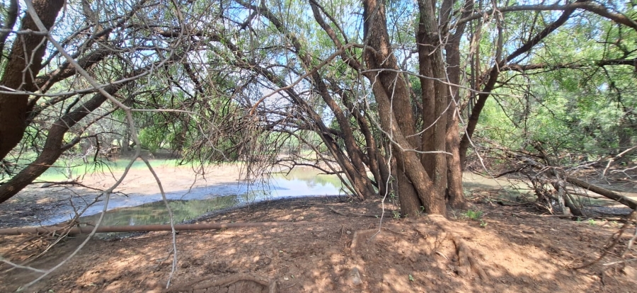 4 Bedroom Property for Sale in Koster North West